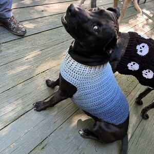 Blue Dog Sweater